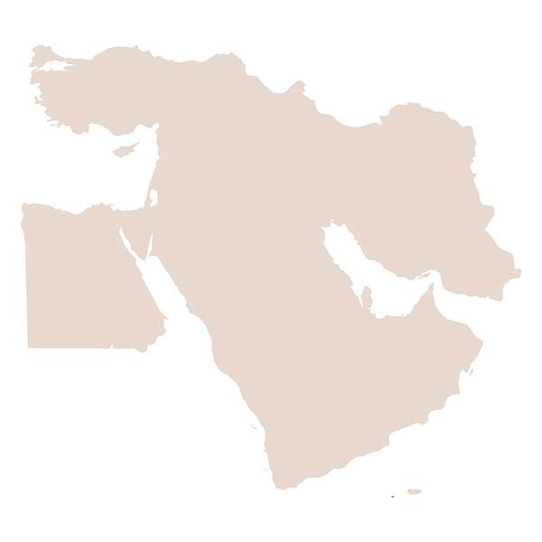 Simplified Middle East map outline.
